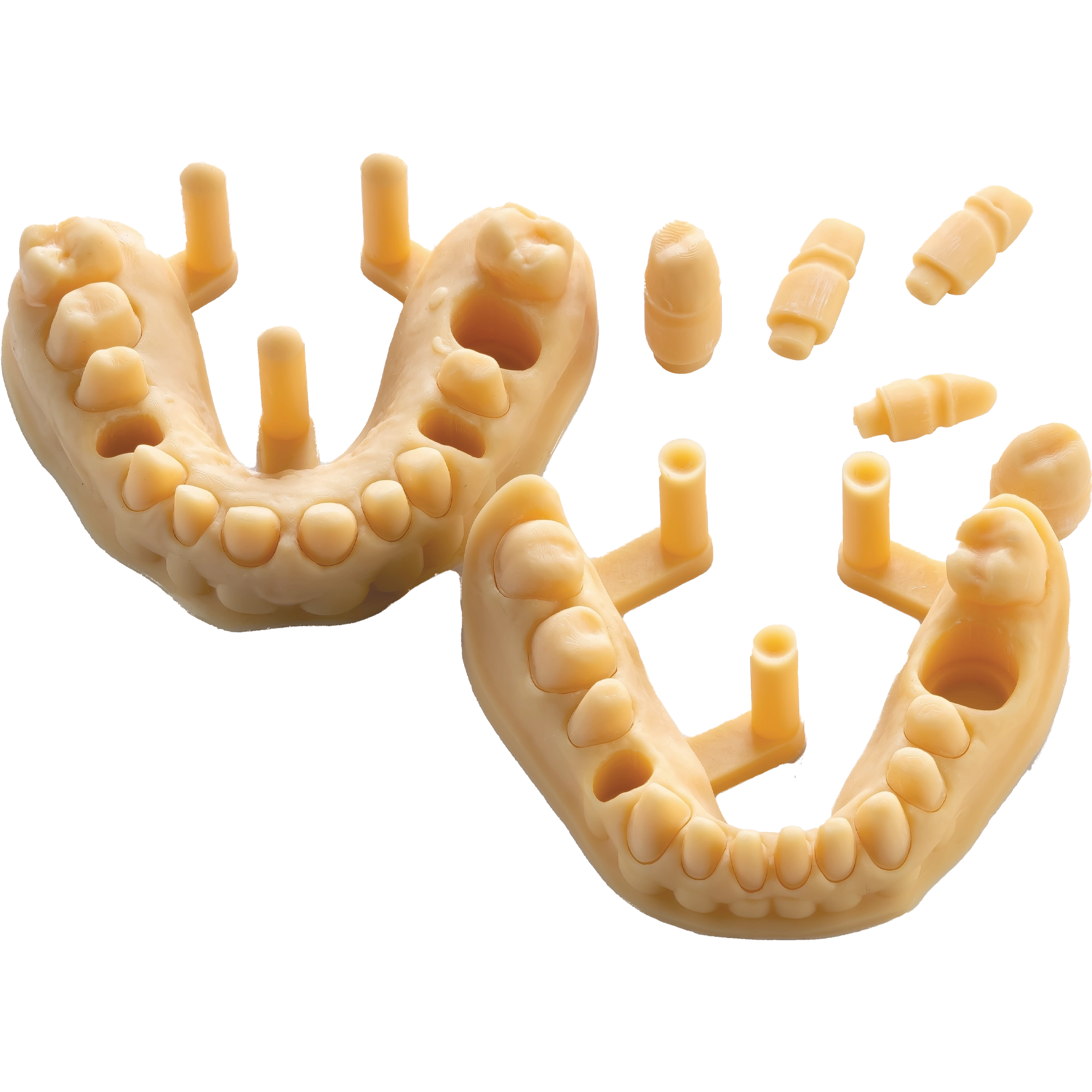 DENTAL MODEL HP
