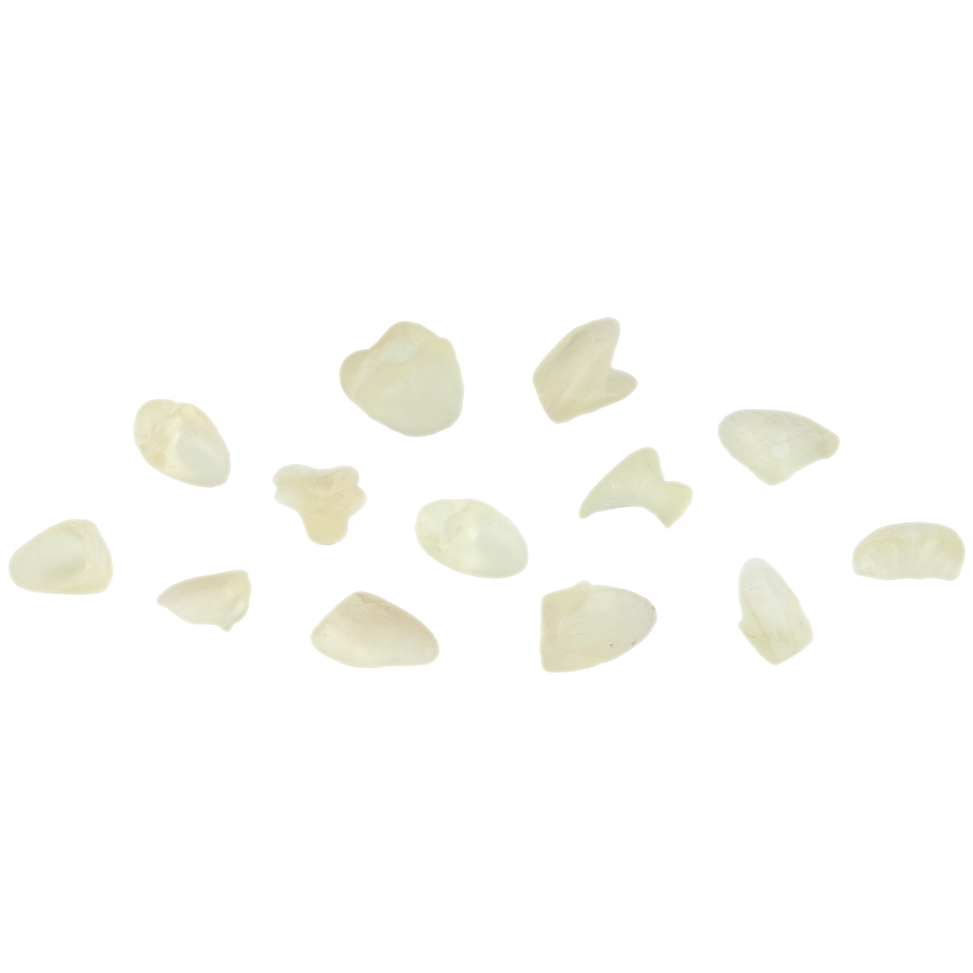 DENTAL CAST