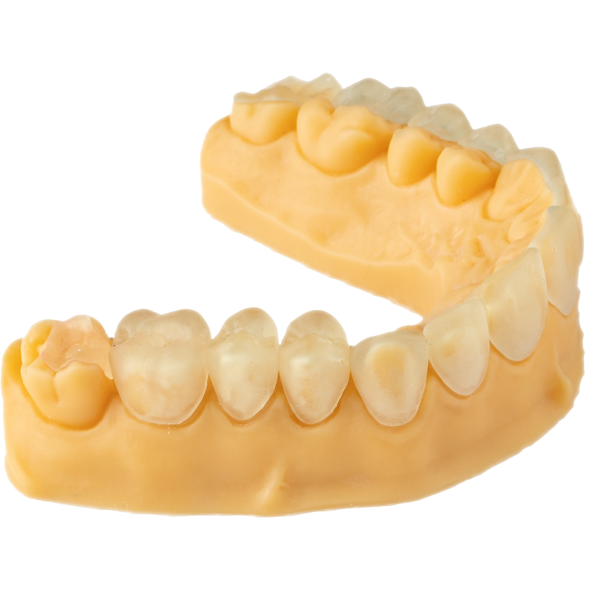DENTAL CAST