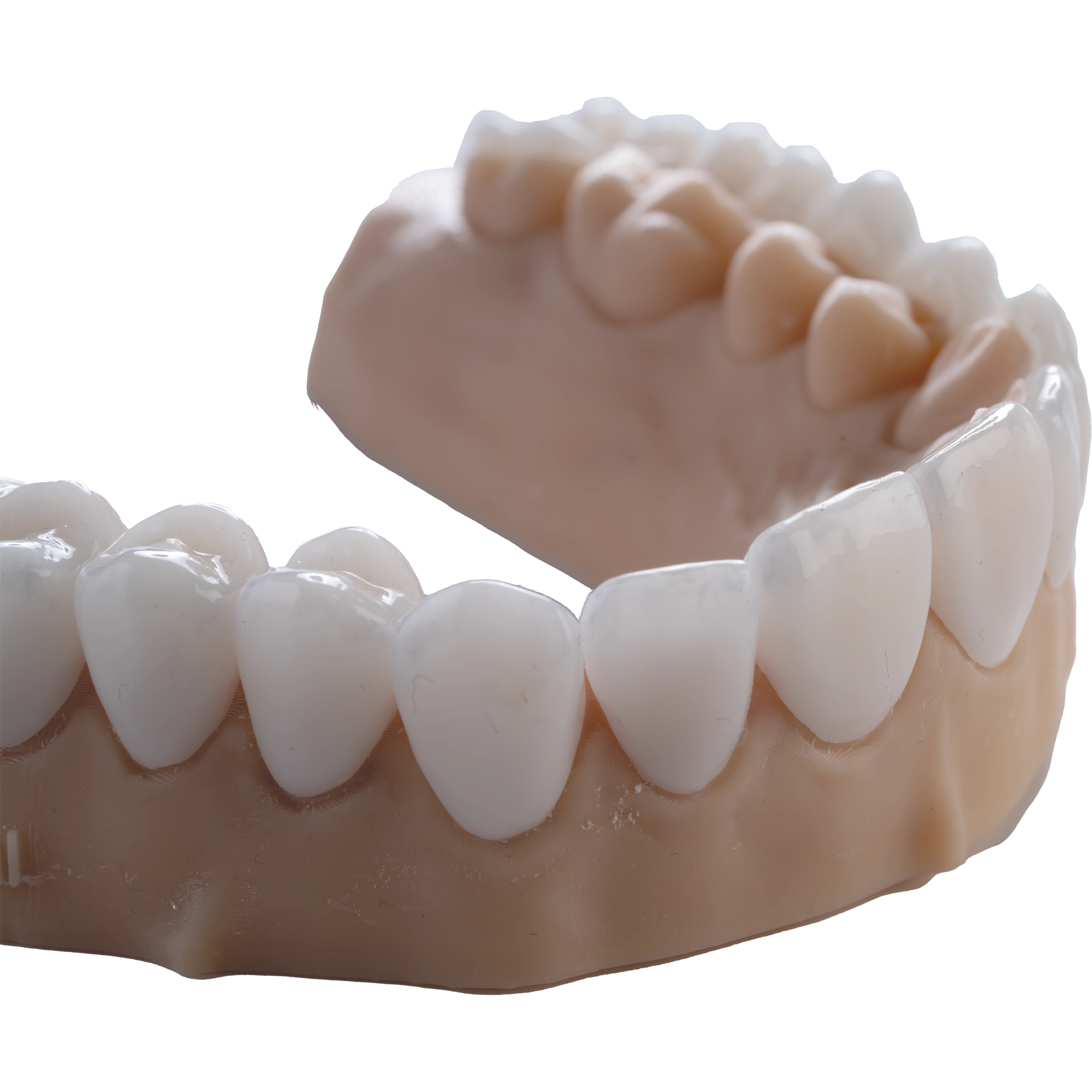 DENTAL CAST